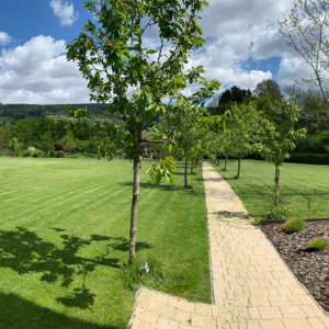 Garten – Design Ferienhaus Bauhausvilla Kärnten, Spittal/Millstätter See