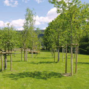 Garten – Design Ferienhaus Bauhausvilla Kärnten, Spittal/Millstätter See