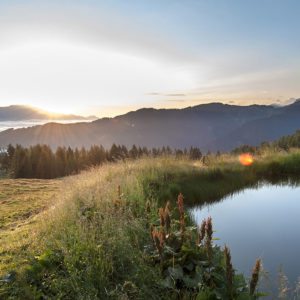 Sommerurlaub in Altenmarkt-Zauchensee, Salzburger Land